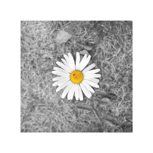 怪物与女子交3D
